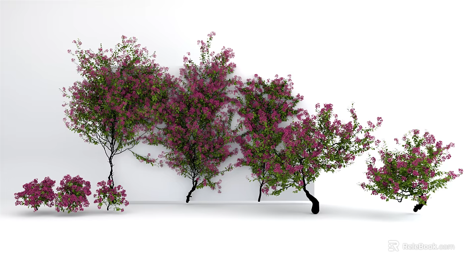 Lush Climbing Vine Plants With Pink Flowers And Green Leaves Against White Background 3d model 