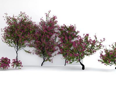 Lush Climbing Vine Plants With Pink Flowers And Green Leaves Against White Background 3d model