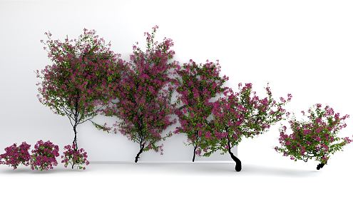 Modern Vine Climbing Vine Plant Lagerstroemia indica 3d model