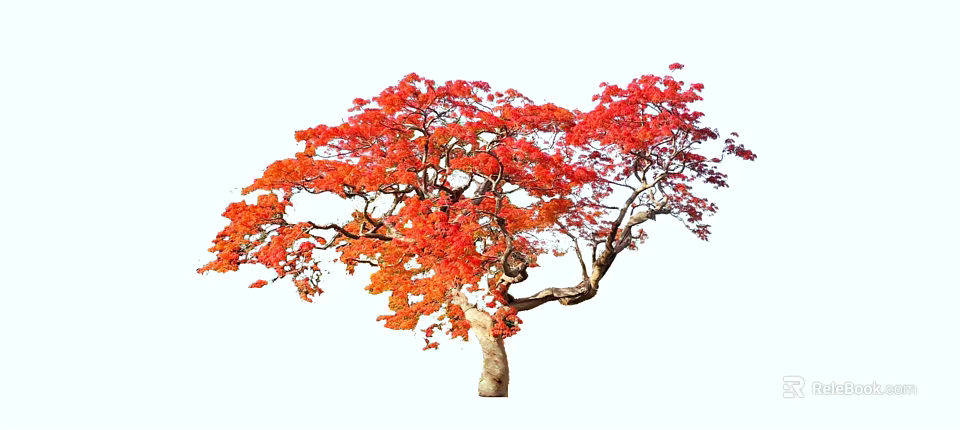 Vibrant Arbor With Red And Orange Leaves And Curved Trunk In Autumn 3d model 