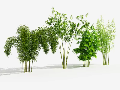 Various Bamboo Varieties Featuring Lush Green Leaves And Tall Stalks 3d model