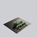 Ground Cover Plants With Various Ornamental Grasses Green And White Foliage