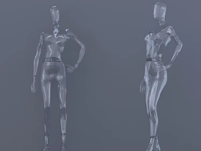 Transparent Full Body Mannequin Set With Modern Design For Jewelry 3d model