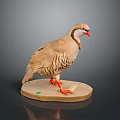 Light Brown Striped Bird With Red Beak And Legs On Circular Base Against Dark Background