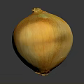 Ripe Fresh Whole Yellow Onion With Smooth Outer Skin On Dark Surface