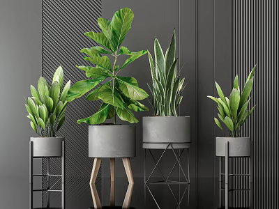 Lush Indoor Potted Plants with Grey Planters and Stylish Geometric Stands Against Dark Wall 3d model