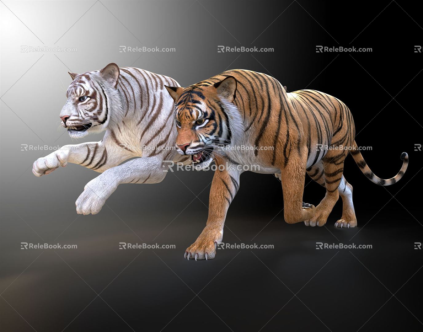 Modern Tiger White Tiger 3d model