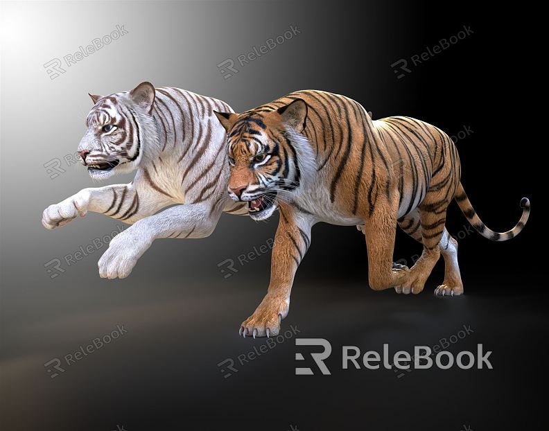 Modern Tiger White Tiger model