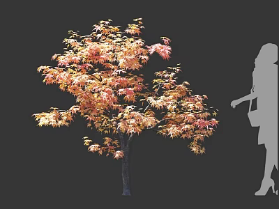 Arbor With Orange Red Autumn Leaves And Human Silhouette For Size Reference 3d model