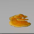 Fresh Edible Orange Ganoderma Mushroom Natural Food With Vibrant Color And Organic Texture