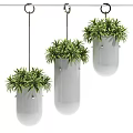 Modern Hanging Planters With Lush Green Foliage And White Ceramic Design For Indoor Decor