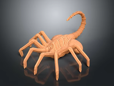Five Striped Scorpion Karoleni Scorpion Italian Scorpion Mexican Scorpion Soves Scorpion East Asian Piners Scorpion 3d model