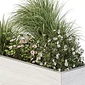 Rectangular White Wooden Planter With Green Grasses And White Flowers For Indoor Outdoor Container Garden