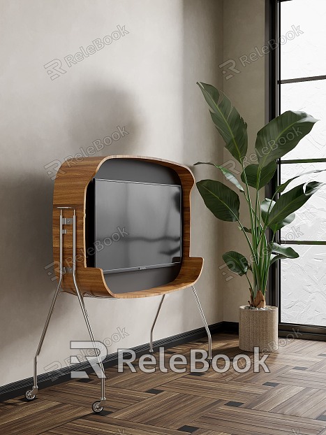 Modern TV Picture Environment TV model