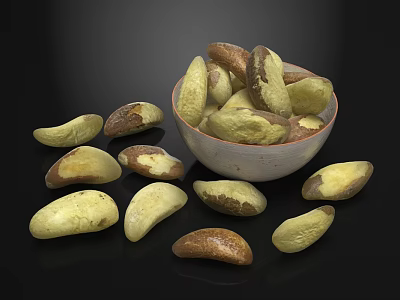 Brazil Nuts in Ceramic Bowl with Scattered Nuts on Black Background 3d model