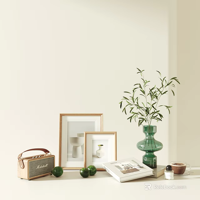 Stylish Decorative Ornament Combination with Green Vase Leafy Plant Picture Frames Brown Radio and Book 3d model 