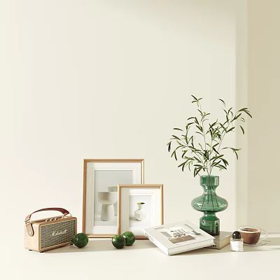 Stylish Decorative Ornament Combination with Green Vase Leafy Plant Picture Frames Brown Radio and Book 3d model