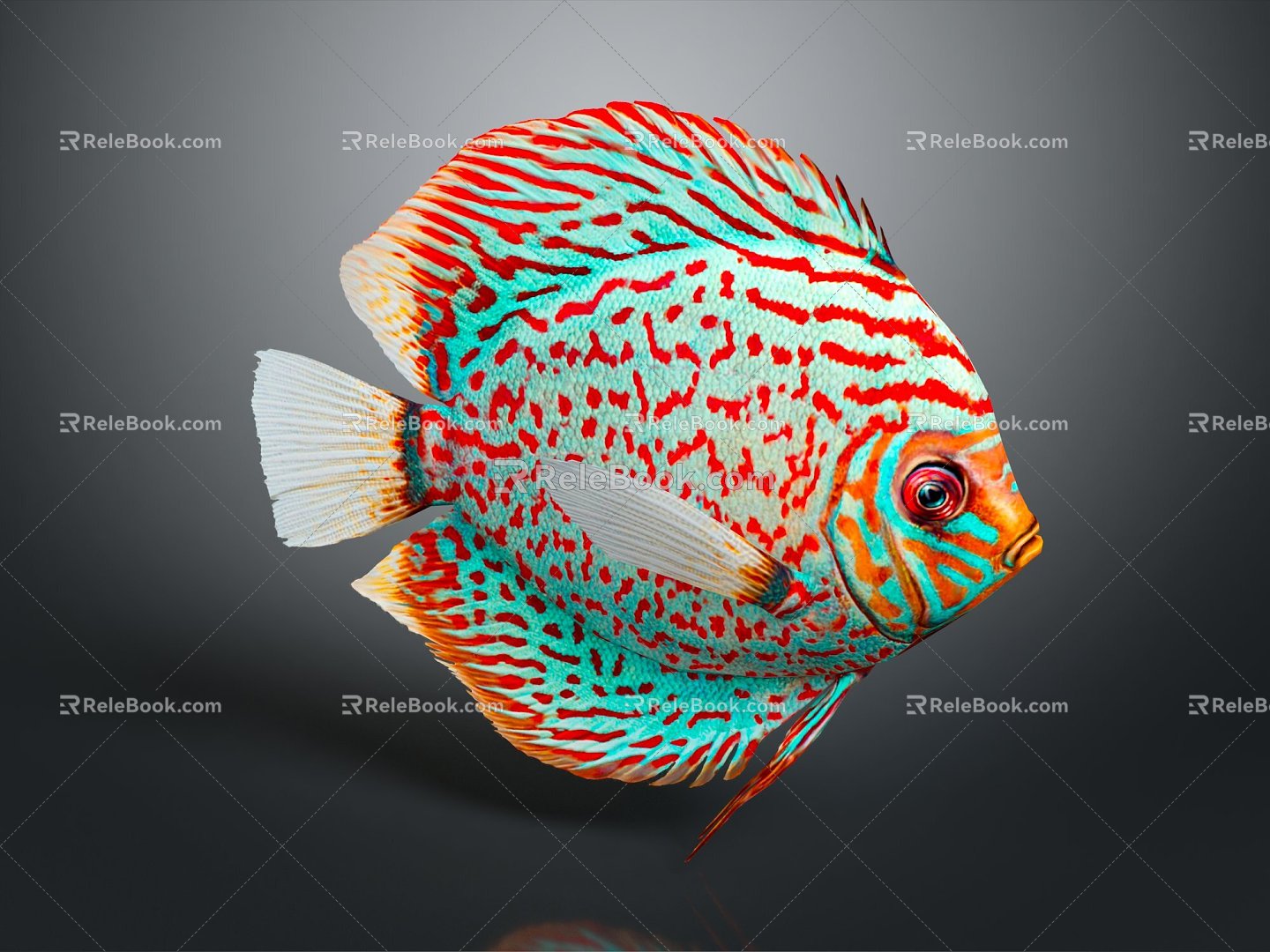 Modern colorful fish tropical fish ornamental fish aquarium 3d model