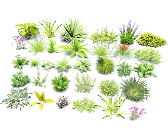 Flower and grass landscape plant courtyard flower and grass flower border plant covered 3d model