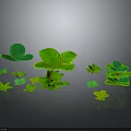 Vibrant Green Plants With Various Leaf Shapes And Sizes On Gray Background