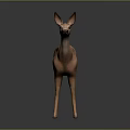 Realistic 3D Deer Model In Light Brown With Reflective Surface And Gray Background 3d model