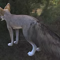Fennec Fox In Outdoor Grassland Surroundings 3d model