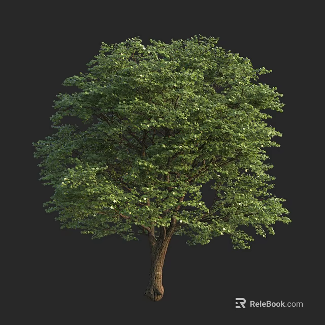 Arbor With Lush Green Foliage And Sturdy Trunk Isolated On Dark Backdrop 3d model 