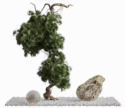 Lush Green Arbor With Dense Foliage Twisted Trunk Round Stone And Gravel 3d model