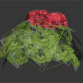 Vibrant Geranium Plant With Lush Green Leaves And Bright Red Flowers In Hemispherical Growth