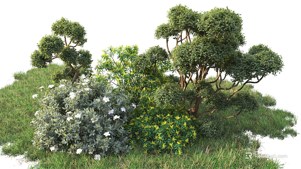 Various Green Shrubs With White And Yellow Flowers In Grass Landscape 3d model 