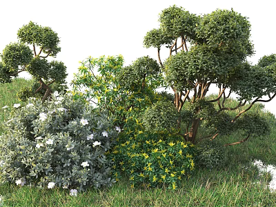 Various Green Shrubs With White And Yellow Flowers In Grass Landscape 3d model