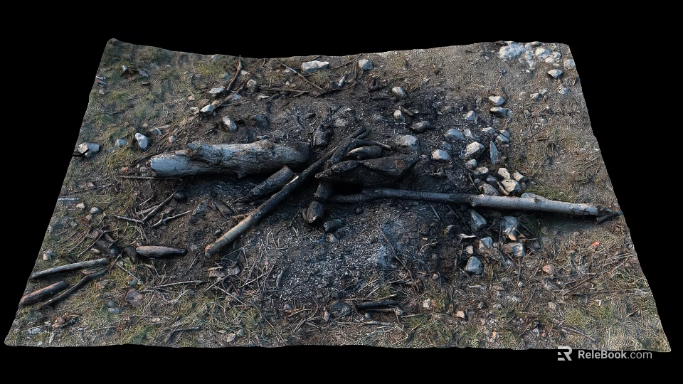 Outdoor Natural Campfire Remains With Burned Logs Ash Stones And Green Grass 3d model 