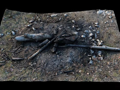 Outdoor Natural Campfire Remains With Burned Logs Ash Stones And Green Grass 3d model