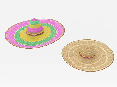 Vibrant Multicolored Rings And Natural Woven Wide Brim Straw Hats Design 3d model
