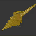 Modern Hermit Crab Conch Crab 3d model