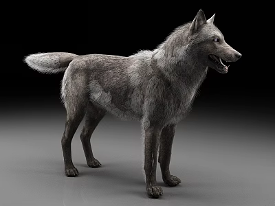 Realistic Reptile With Gray Scaly Skin Standing On Smooth Gray Surface 3d model