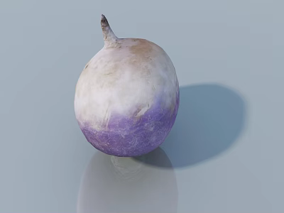Round Purple And White Speckled Vegetable With Small Root On Smooth Surface With Shadow 3d model
