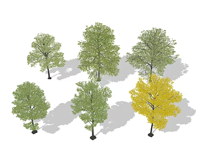 Arbor Trees With Green And Yellow Leaves And Shadows In Landscape Design 3d model