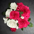 Red And White Roses In Striped Vase With Single Red Rose On Dark Table