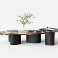 Modern Glass Coffee Table With Black Cylindrical Legs Magazine Books And Vase With Green Plant