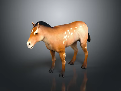 Brown Horse With Black Mane And White Spots Standing On Dark Background 3d model