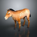 Brown Horse With Black Mane And White Spots Standing On Dark Background