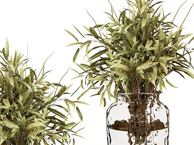 Bonsai Potted Plant with Green Leaves in Glass Vase and Stones for Indoor Decoration 3d model