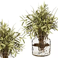 Bonsai Potted Plant with Green Leaves in Glass Vase and Stones for Indoor Decoration