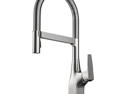Sleek Modern Kitchen Faucet With Curved Spout Single Handle And Stainless Steel Finish 3d model
