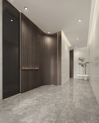 Modern entrance hall 3d model