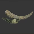 Natural Animal Horns Displaying Curved Shape Light And Dark Colors And Unique Textures