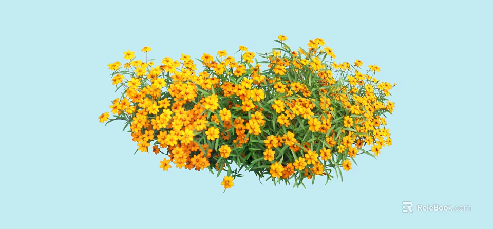 Dense Yellow Flowers with Fresh Green Leaves Against Light Blue Background 3d model 
