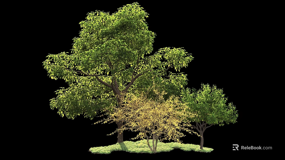 Tall Arbor Trees With Green And Yellow Foliage On Lush Grass Ground 3d model 