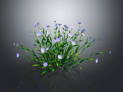 Vibrant Purple and White Flowering Plant with Green Stems Leaves against Dark Background 3d model